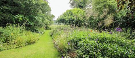 A garden path surrounded by lush greenery and various plants.