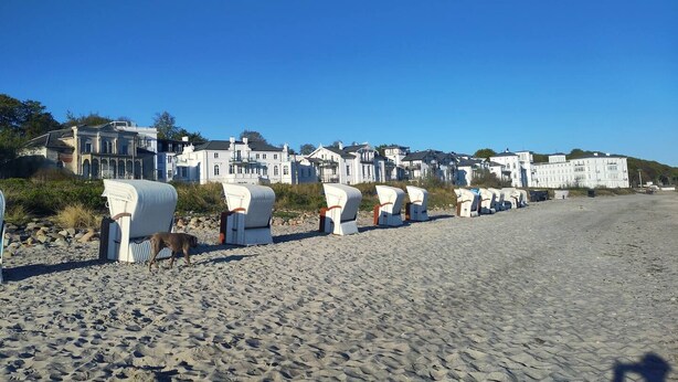 Une plage bordée de rangées de chaises de plage blanches, avec, en arrière-plan, une rangée de bâtiments blancs.