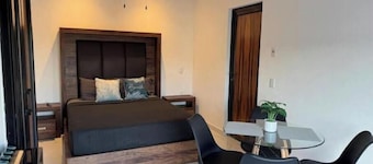 Suite with a Private Terrace in Puerta del Sol