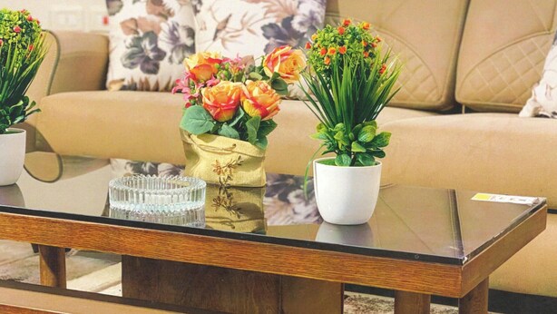 Una sala de estar con un sofá, una mesita de centro y dos plantas en macetas.