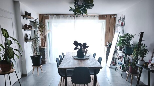 Comedor con mesa de madera, sillas, plantas en macetas y vista a través de un ventanal.