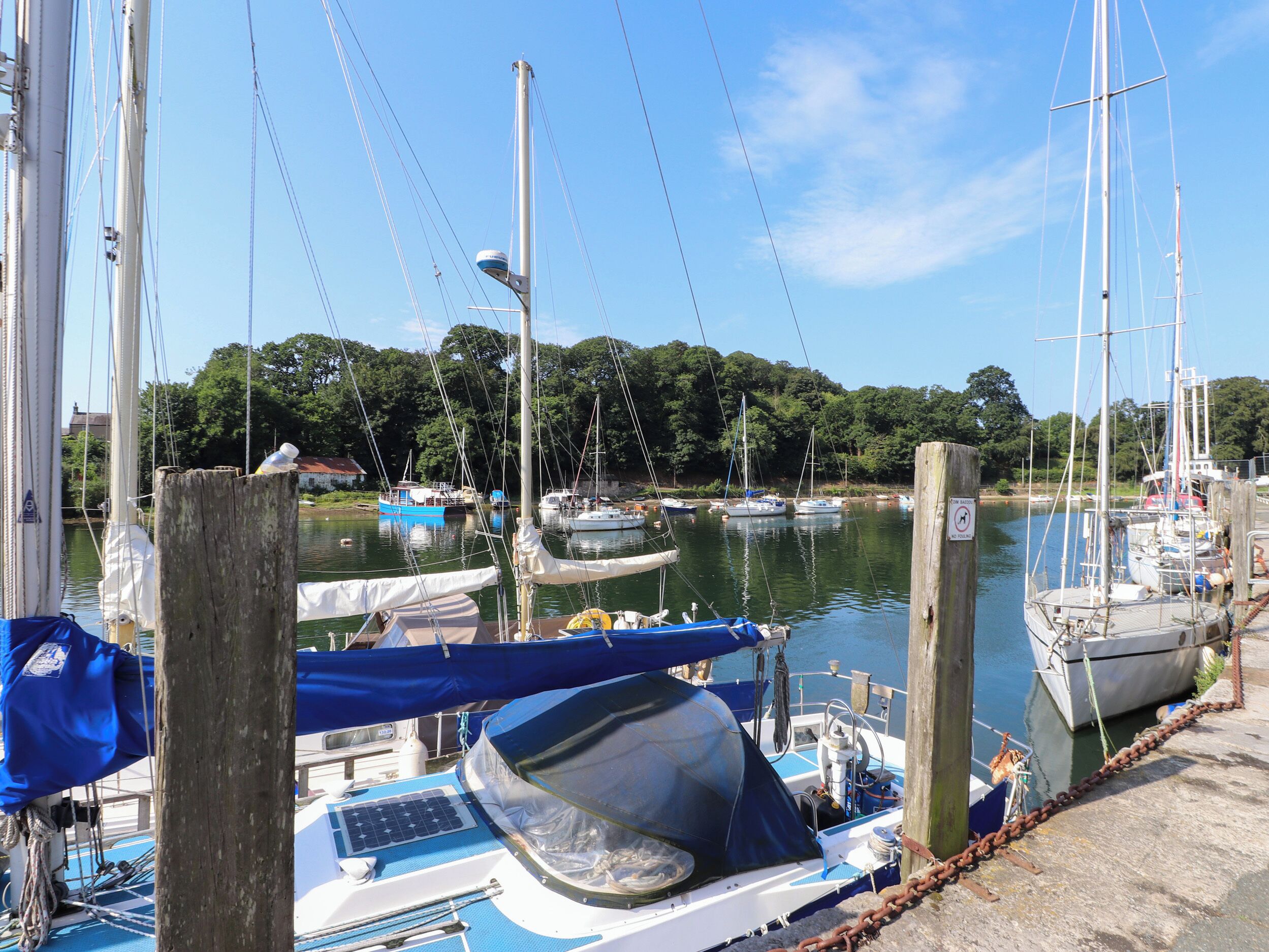 A marina with boats docked, a clear sky, and trees in the background.