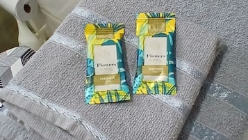 Shower, towels, soap, toilet paper