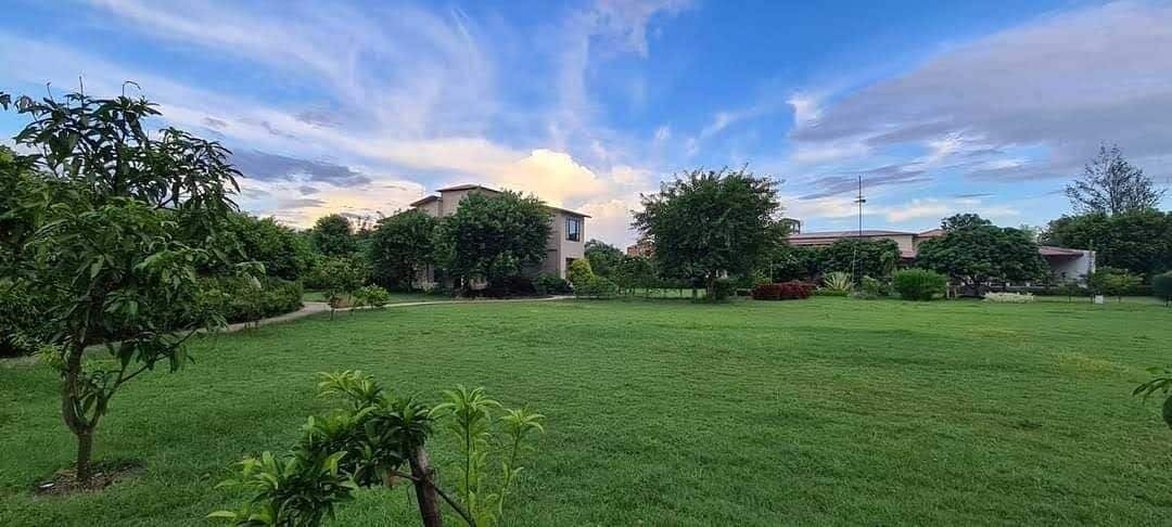 A grassy outdoor area with trees and a building in the background.