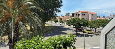 A residential street with houses, a palm tree, and parked cars.