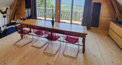 Architect-designed home in the hills above Sinard