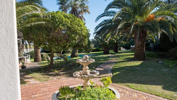 Un jardín con una fuente central, palmeras y un sendero de ladrillos.