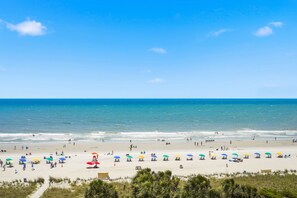 Beach - Endless Sea Escape - Oceanfront Forest Dunes 1BR (Myrtle Beach)