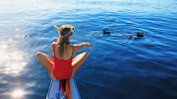 A person in a red swimsuit on a boat, facing the ocean with dolphins swimming nearby.