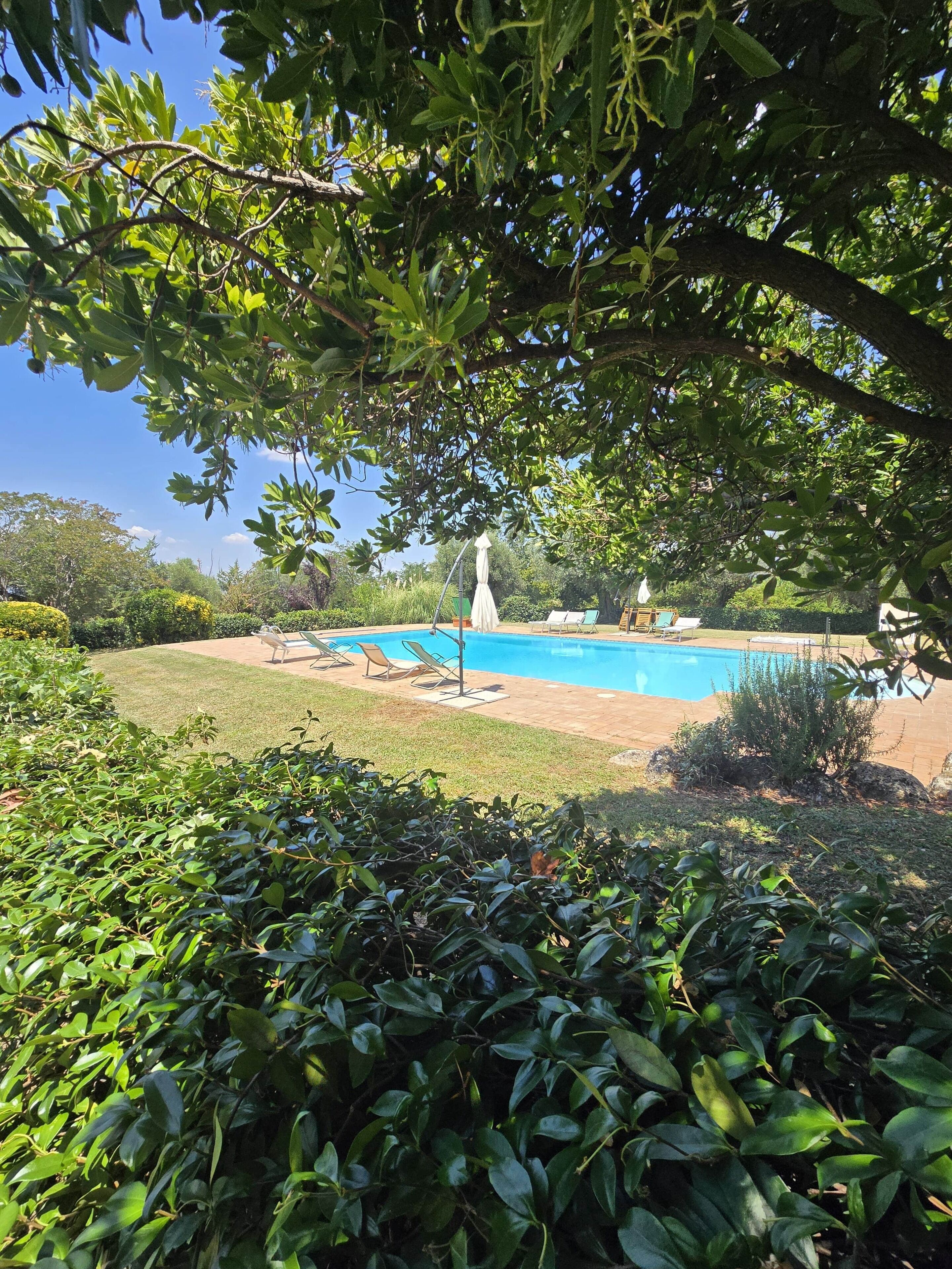 Ein Pool mit Liegestühlen, umgeben von gepflegtem Rasen und Hecken.