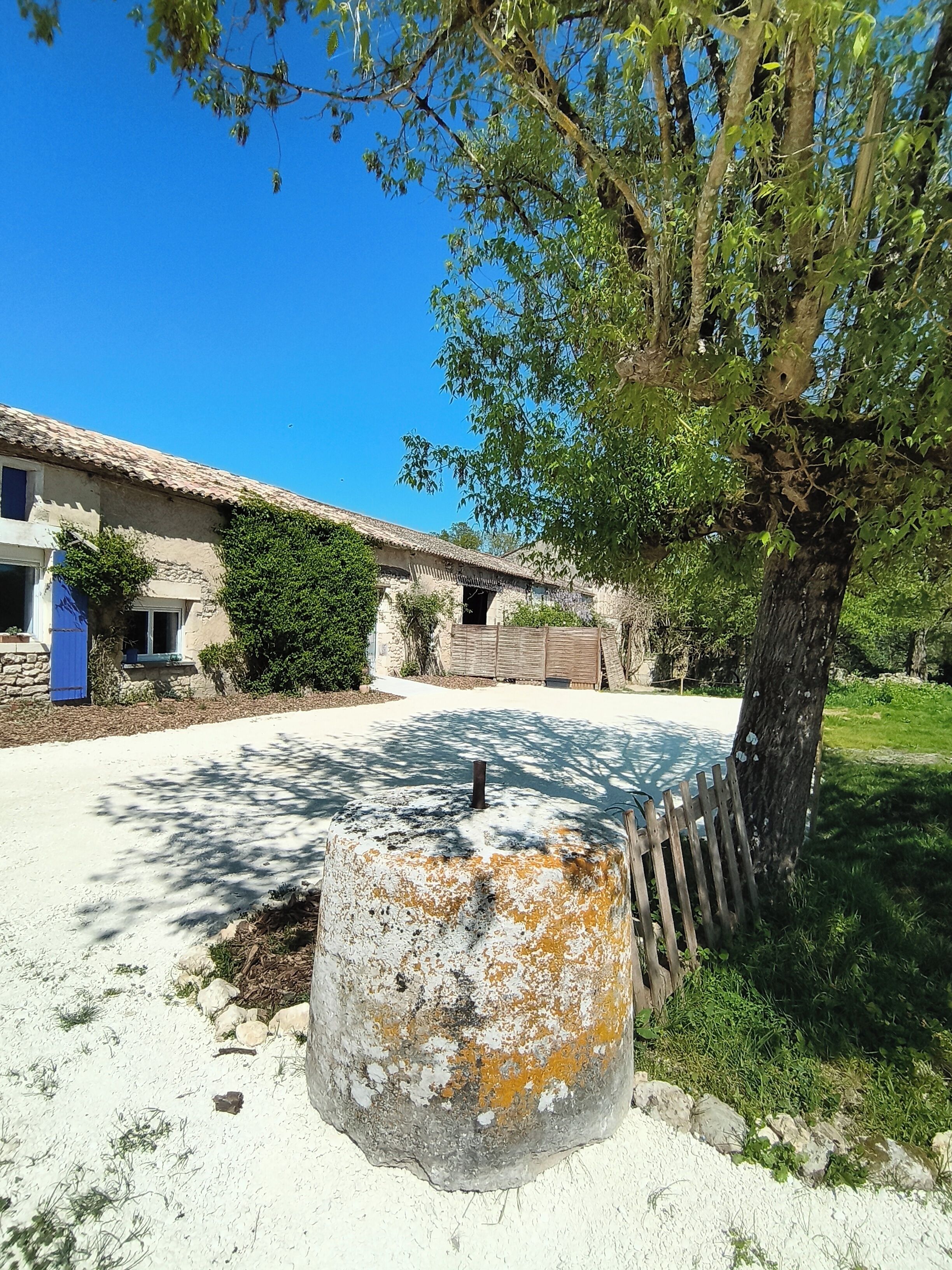 A rustic building with a stone facade, a tree in the foreground, and a clear blue sky.