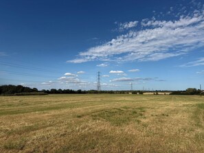 A wide-open field with a clear sky and distant power lines. - Surridges Studio, Sleeps 4 w/ Parking & Dogs Ok (Chelmsford)