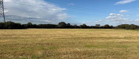 A wide-open field with a power line tower on the left and a line of trees in the distance.
