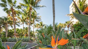 Tropische tuin met vogelparadijsbloem, palmbomen en een gebouw op de achtergrond.