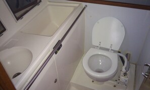 A small bathroom with a toilet, a shower stall, and a window.