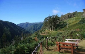 Property grounds - Villa Rosa (Madeira)