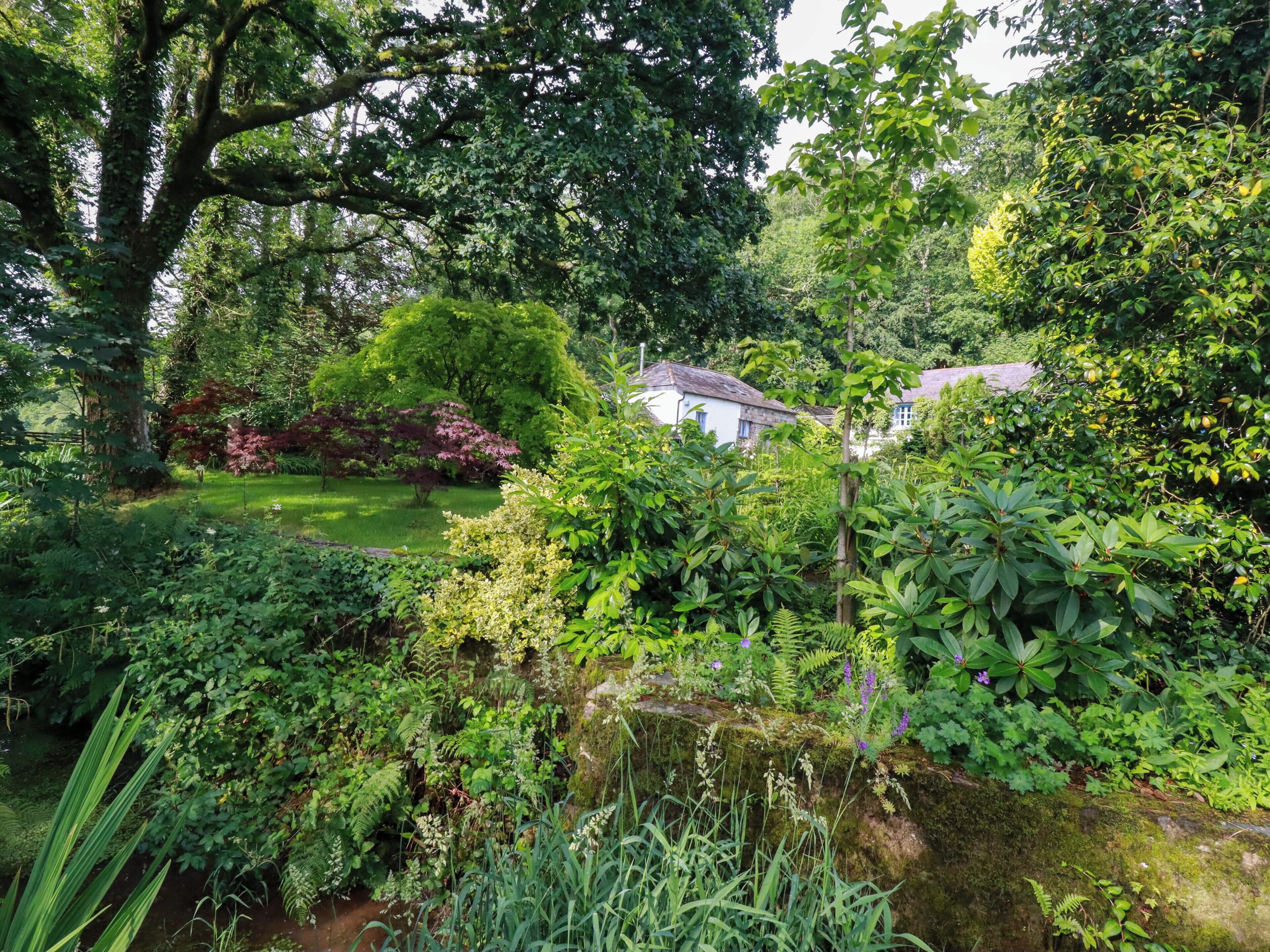 A lush garden with a pond, dense foliage, and a white building with a sloped roof.