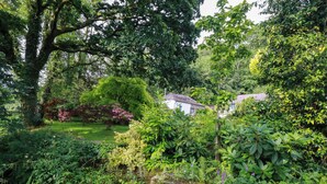 Um jardim exuberante com um lago, vegetação densa e um edifício branco com telhado inclinado.