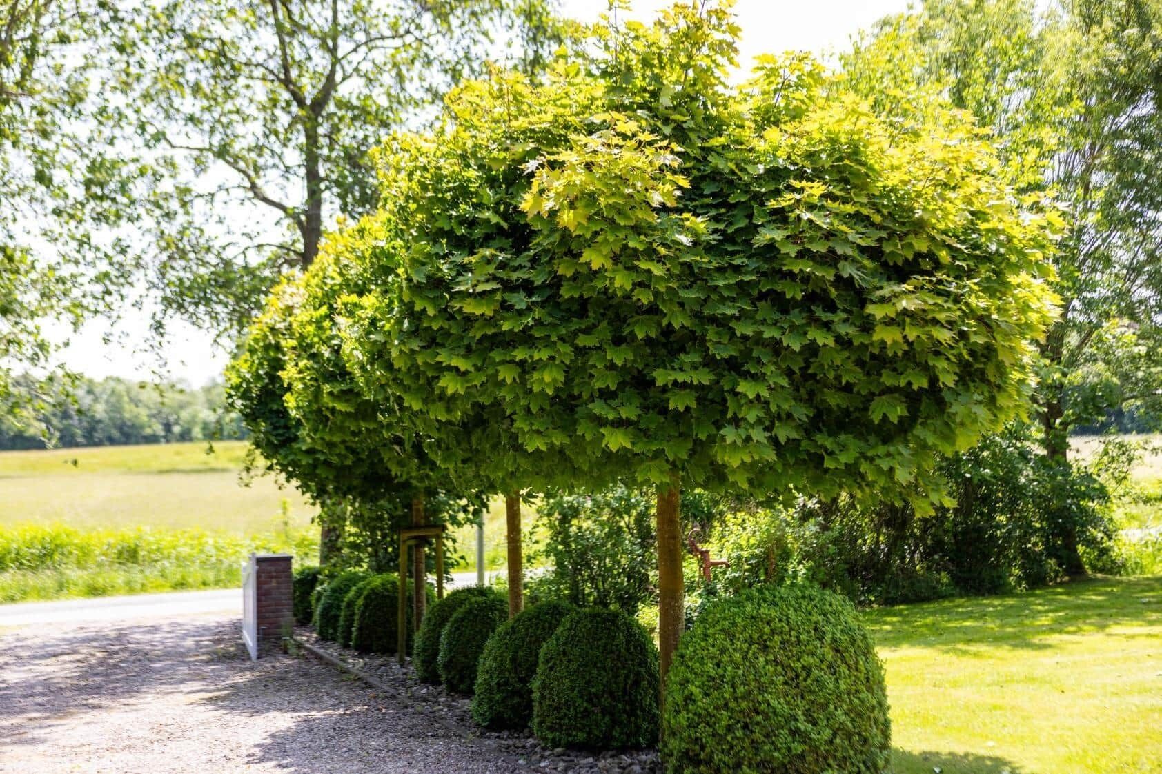 Un jardin bien entretenu, agrémenté de divers arbres et arbustes, d’un chemin de gravier et d’une construction en briques.
