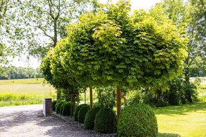 A well-maintained garden with a variety of trees and shrubs, a gravel path, and a brick structure. - Luxuriöses Ferienhaus Room No. 7 (Tating)