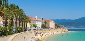 A coastal cityscape with a stone wall, palm trees, and buildings with red roofs.