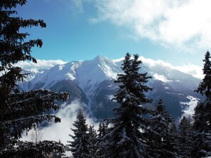 Ein schneegebdeckter Berg mit immergrünen Bäumen im Vordergrund.
