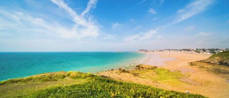 Un paysage côtier avec une plage, un premier plan herbeux et une ligne de côte lointaine.