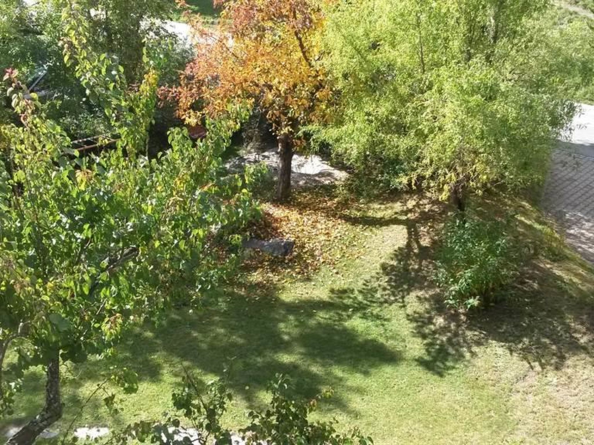 Un jardín con diversos árboles y arbustos, césped y una cerca.