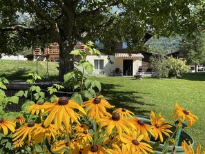 En have med gule blomster, et træ og en bygning med en terrasse.