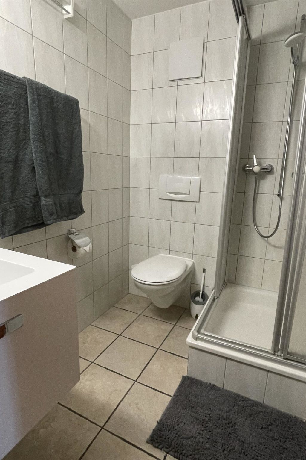 A bathroom with a toilet, a shower, a sink, and a towel rack.