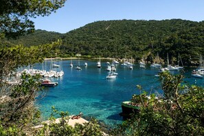 Un port de plaisance avec des bateaux, une eau claire et, en arrière-plan, une colline boisée.