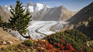 A glacier with mountains in the background. - Alphütte Bielerchäller Appartement/Fewo, Dusche oder Bad, WC, 1 Schlafraum by Interhome (Fiesch)