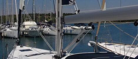 Marina