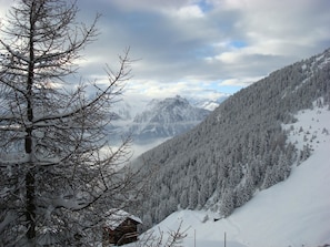 Eine Berglandschaft mit schneebedeckten Bäumen und einer Holzhütte.