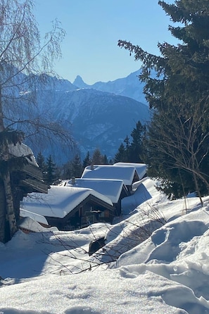 A snow-covered mountain cabin with a sloped roof, surrounded by trees and mountains. - Konkordia 2 EG Süd-Ost Appartement/Fewo, Dusche oder Bad, WC by Interhome (Bettmeralp)
