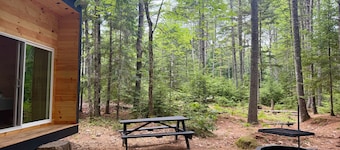 Applecroft Cabin No. 3 - Modern off-grid cabin deep in the woods.