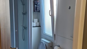 A bathroom with a toilet, bidet, shower, and a mirror.