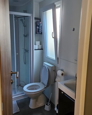 Un baño con inodoro, bidé, ducha y espejo.