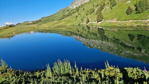 Ein stiller See mit klarer Spiegelung, umgeben von üppigem Grün und einem Berg im Hintergrund.