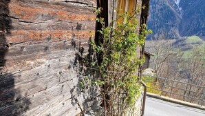 Ein rustikales Holzgebäude mit einer Bank und einem Tisch mit einem Blumentopf.