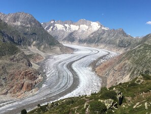 Un glacier serpentant à travers un paysage montagneux, caractérisé par un terrain rocheux et une végétation clairsemée.