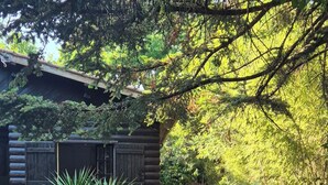 A log cabin with a gravel driveway, surrounded by dense trees and a small plant in the foreground. - Lège-Cap-Ferret, a wooden house just 5 minutes from the bay and the ocean (Lège-Cap-Ferret)