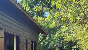 A wooden cabin with a covered porch, surrounded by trees and a leaf-covered ground. - Lège-Cap-Ferret, a wooden house just 5 minutes from the bay and the ocean (Lège-Cap-Ferret)
