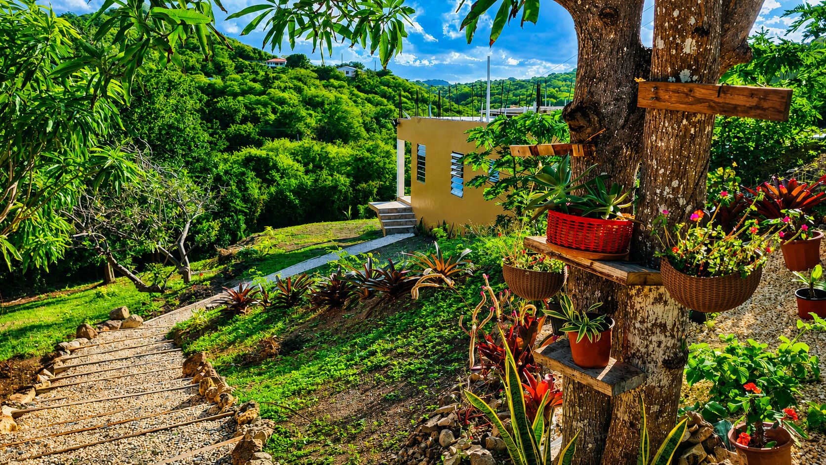 A garden with a wooden staircase leading to a building, surrounded by lush greenery and potted plants.