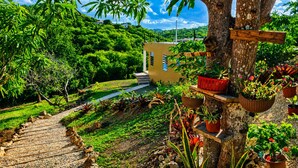 Un giardino con una scala in legno che conduce a un edificio, circondato da vegetazione lussureggiante e piante in vaso.