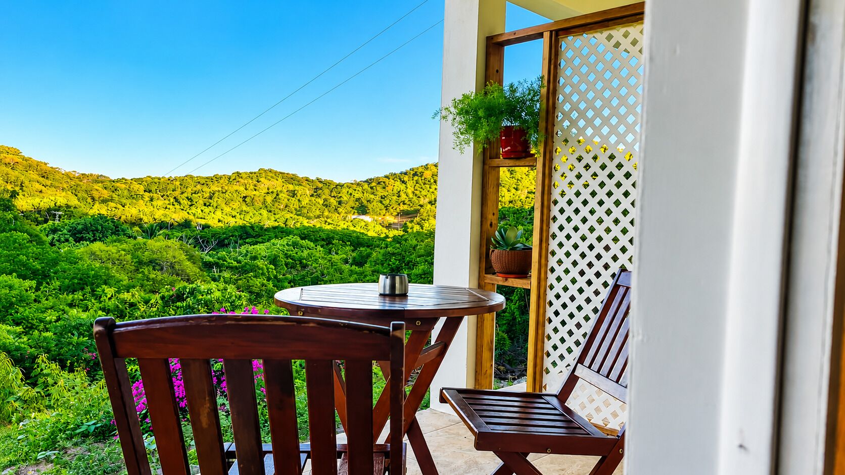 A balcony with a round table and two chairs, a potted plant, and a view of a green landscape.