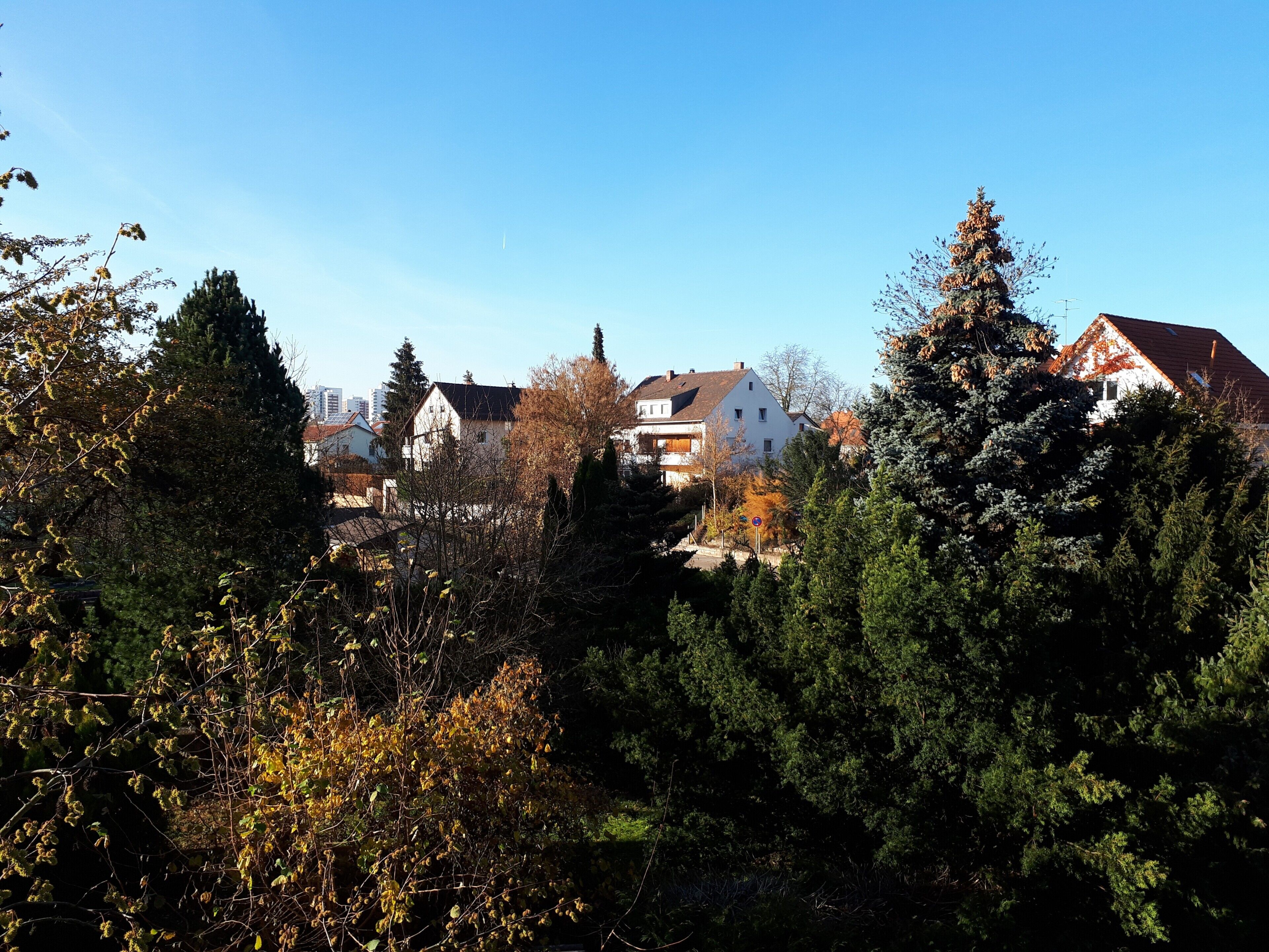 Un barrio residencial con casas, árboles frondosos y cielo despejado.