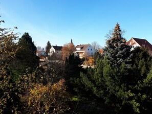 A residential area with houses, dense trees, and a clear sky.
