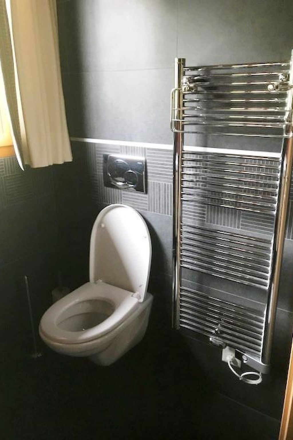 Un bany petit i modern amb un vàter blanc, una barra de tovalloles i un calefactor fixat a la paret.