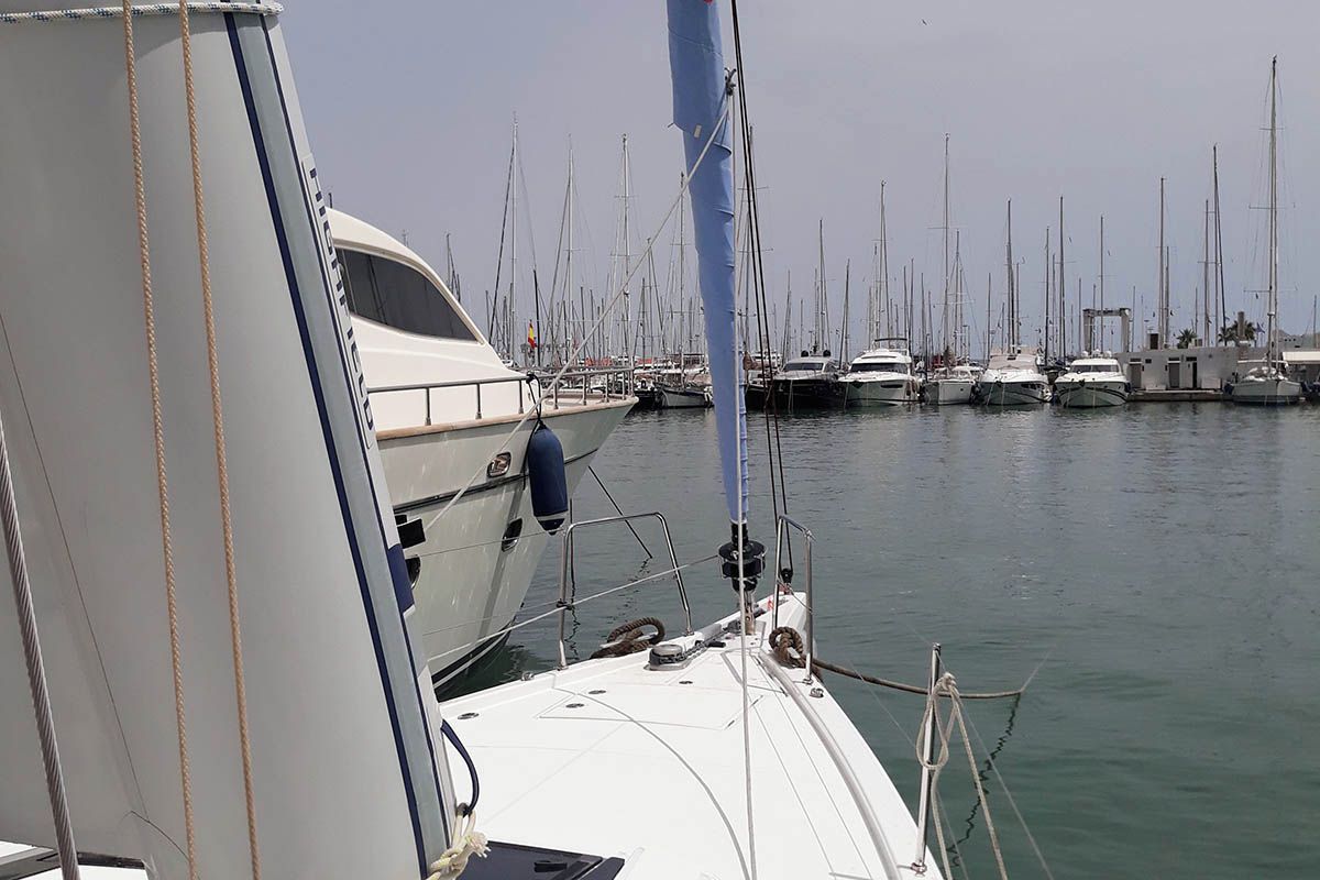 A marina with multiple sailboats docked.
